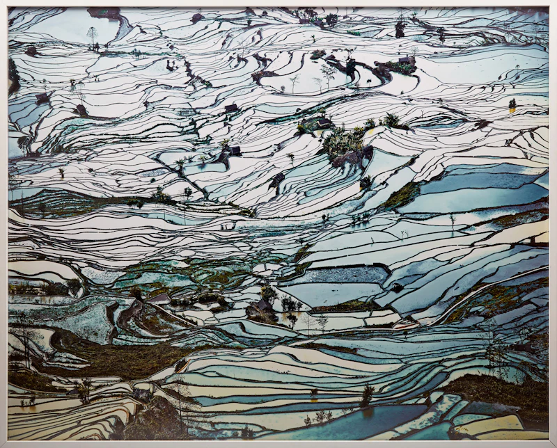 David Burdeny, Rice Terraces, (Laohuzui II), Yunnan, China, archival pigment print, 2013 - view 2