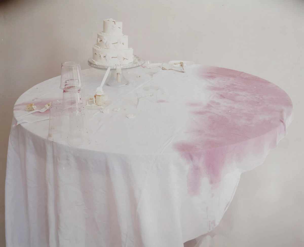 Laura Letinsky, Untitled #19, c-print