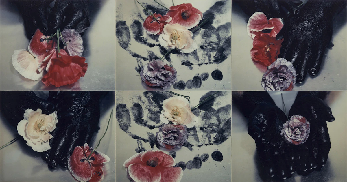 Carol Marino, Poppies in the Black , colour Polaroid, 1991