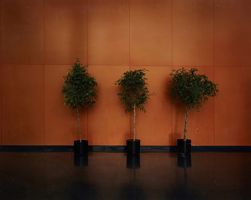 Untitled, 2007 by Lynne Cohen