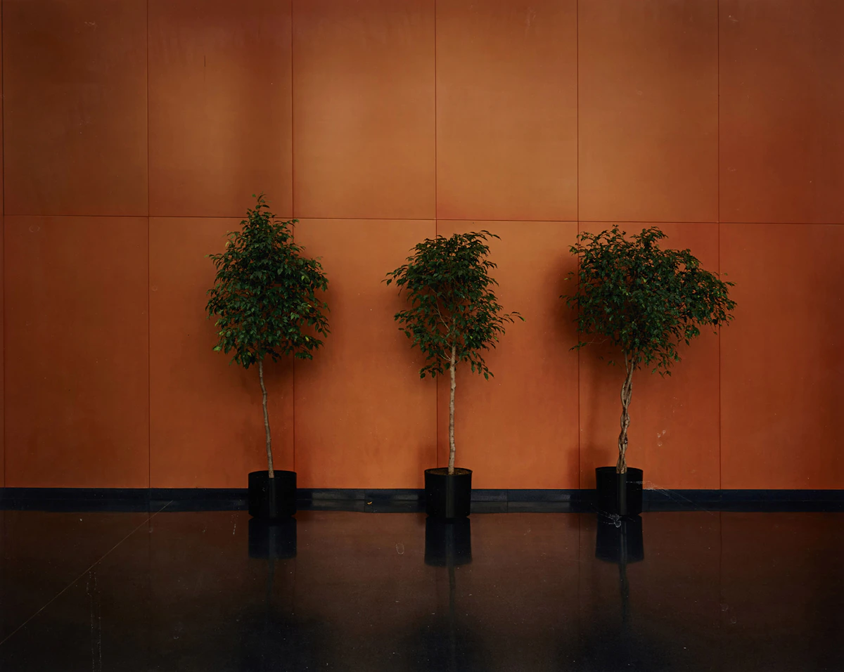 Lynne Cohen, Untitled, 2007, chromogenic print