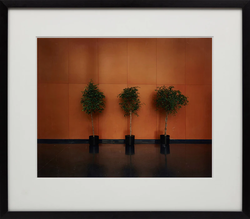 Lynne Cohen, Untitled, 2007, chromogenic print - view 2
