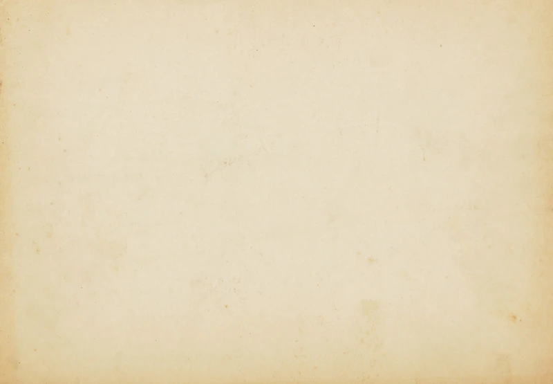 Francis Newton Souza, Still Life with Plant and Skull, pencil on paper, 1961 - view 2