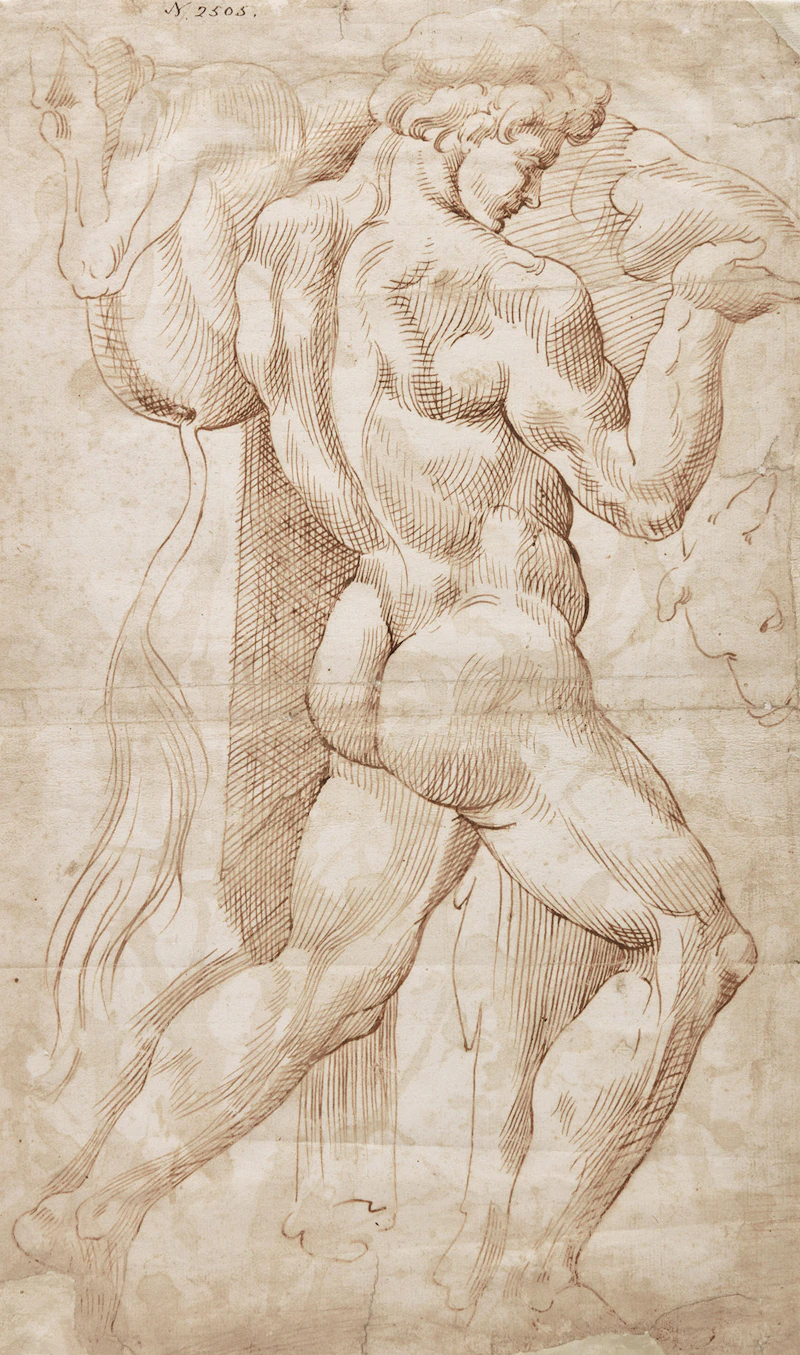 Hercules and the Ox by Manner of Baccio Bandinelli