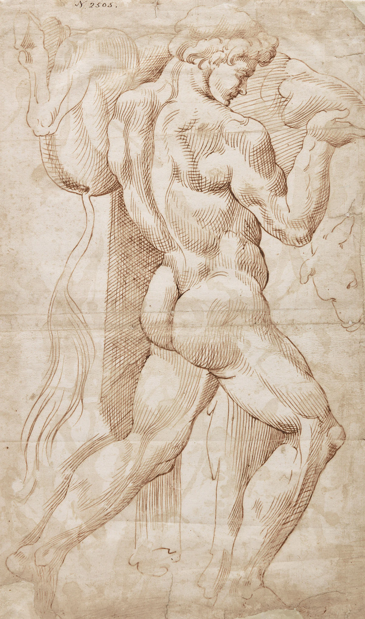 Manner of Baccio Bandinelli, Hercules and the Ox, ink on paper
