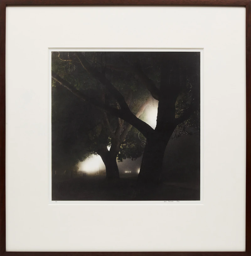 Rick Zolkower, Night Trees, toned silver print, 1982 - view 2