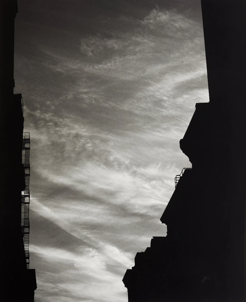 Pièges II (Photo 6) by Jocelynne Alloucherie