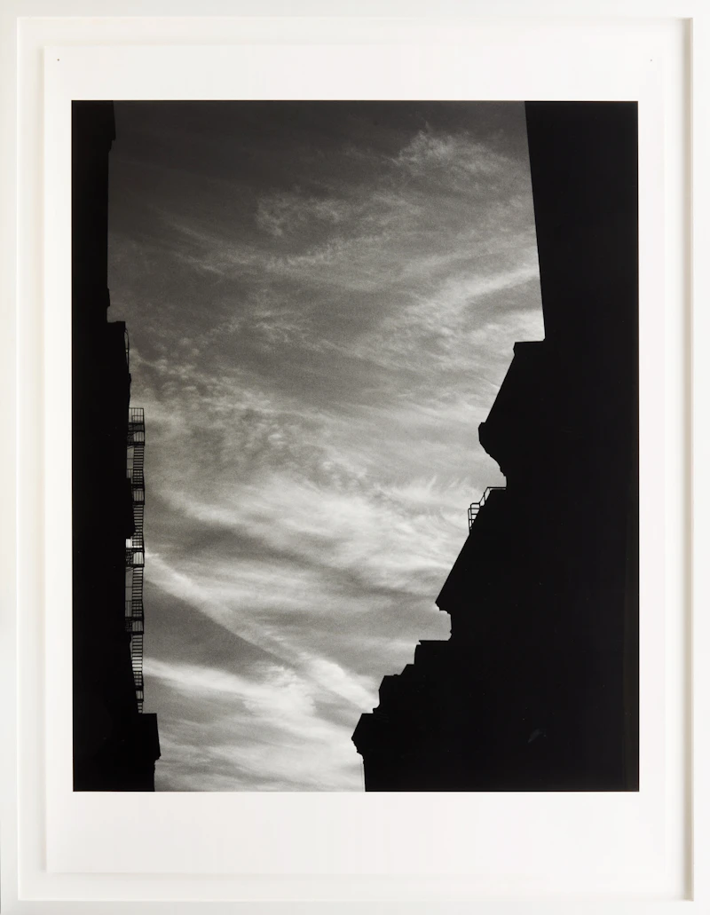 Jocelynne Alloucherie, Pièges II (Photo 6), inkjet print, 2005 - view 2