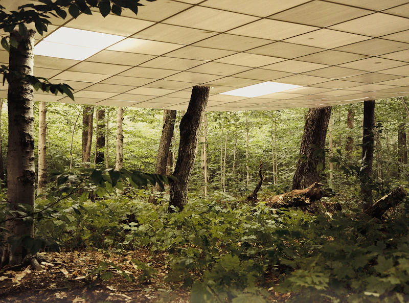 BGL, Domain de l'angle, colour photograph mounted on aluminum - view 1
