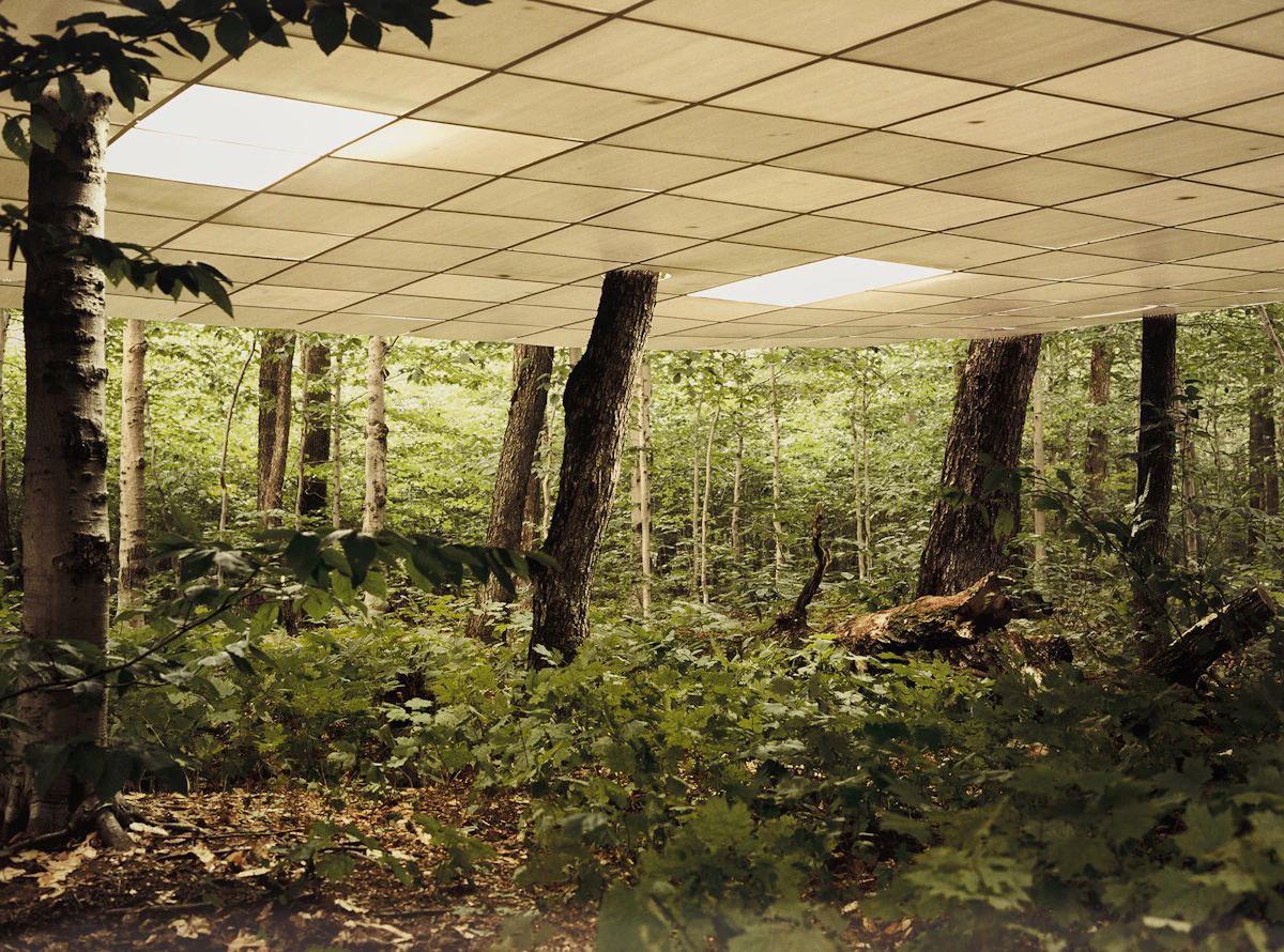 BGL, Domain de l'angle, colour photograph mounted on aluminum