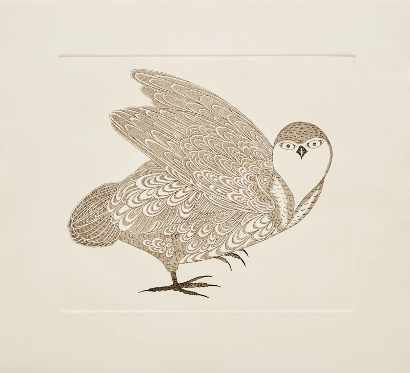A Collection of Etchings: Portfolio IV by Kananginak Pootoogook