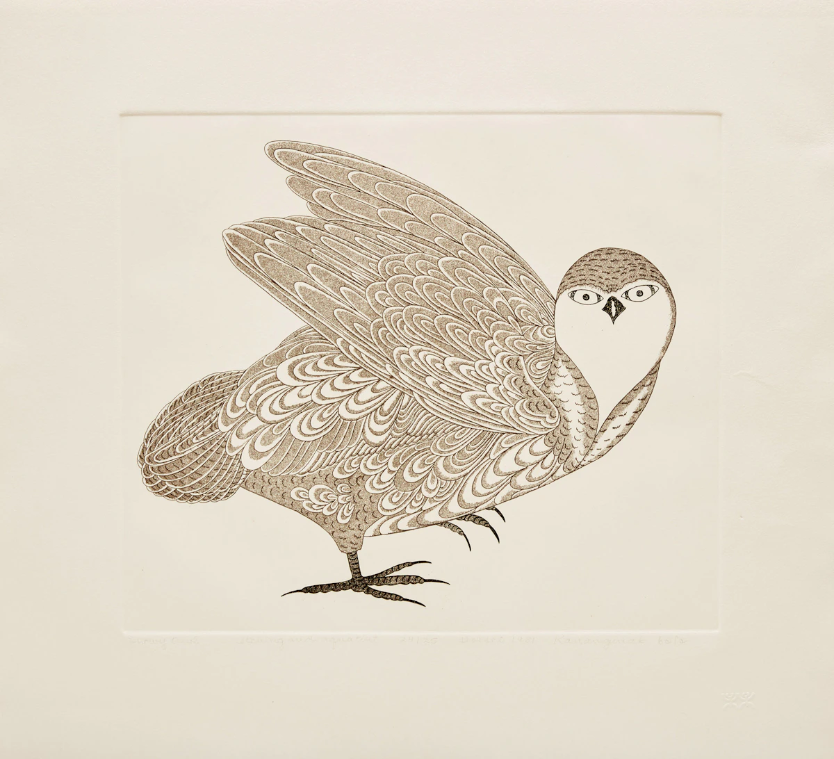 Kananginak Pootoogook, A Collection of Etchings: Portfolio IV, Portfolio of 6 Etchings, 1981