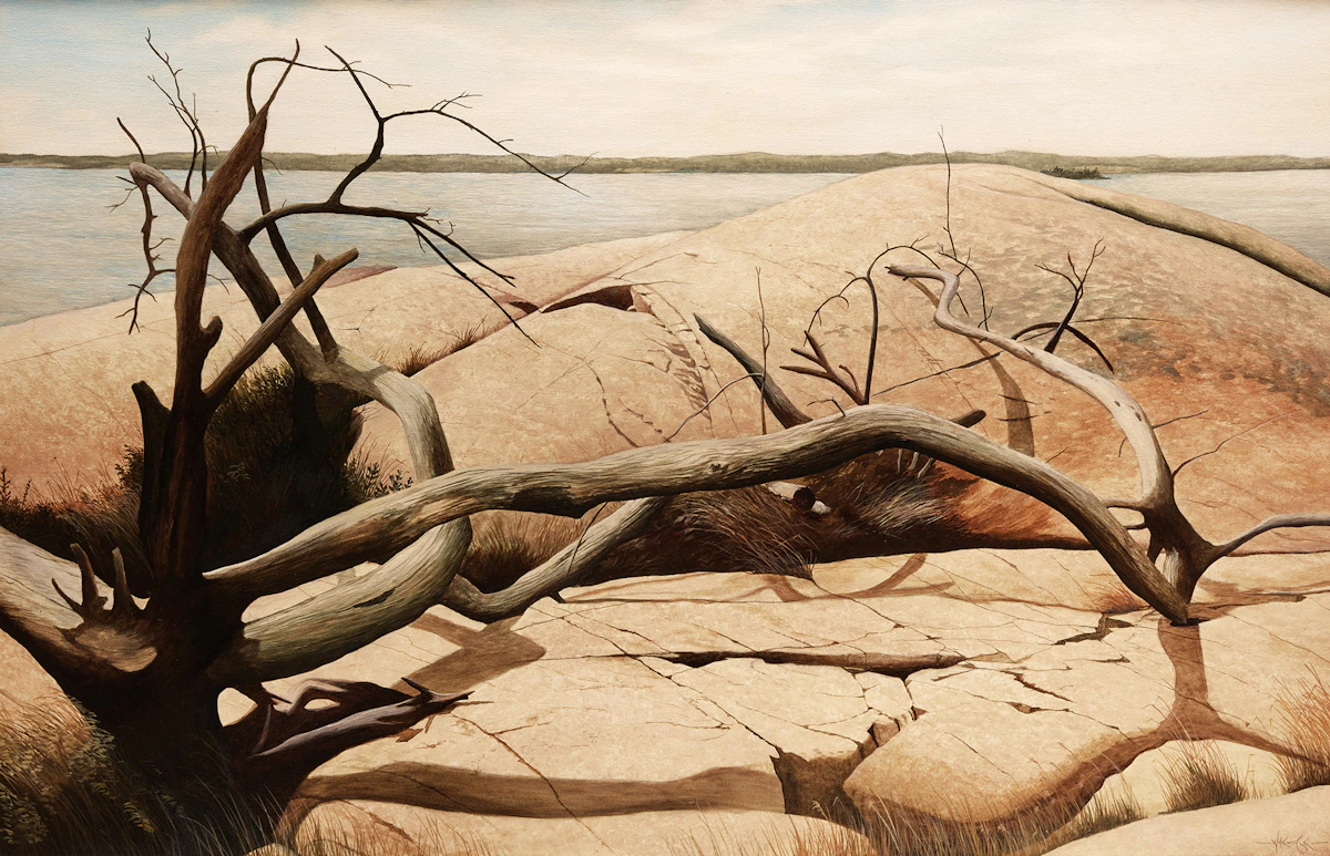 Ivan  Wheale, Fallen Cedar (The Benjamins), oil on canvas, 1988