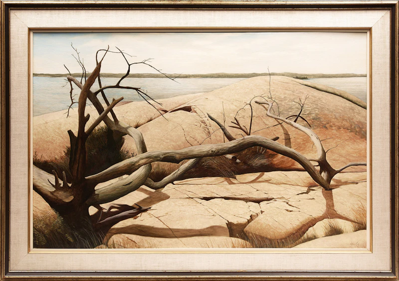 Ivan  Wheale, Fallen Cedar (The Benjamins), oil on canvas, 1988 - view 2