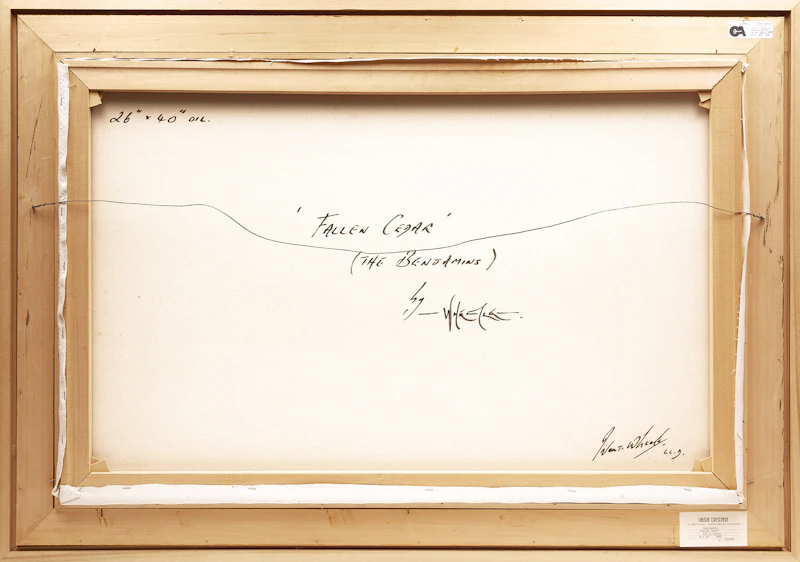 Ivan  Wheale, Fallen Cedar (The Benjamins), oil on canvas, 1988 - view 3