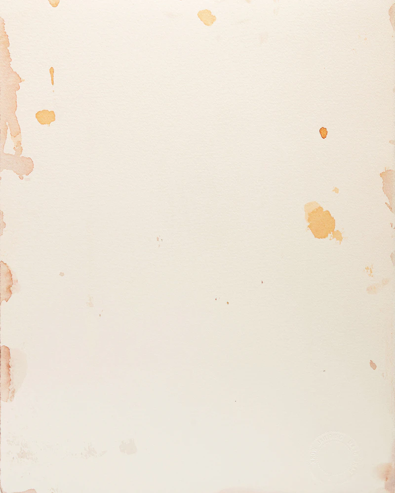 Carl Beam, Untitled (Shooting Star); Untitled (Portrait of Double Runner - Piegan), two mixed media works on paper - view 4