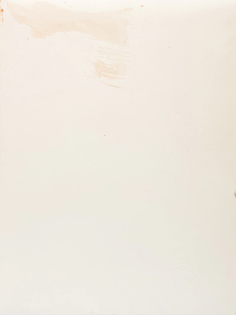 Carl Beam, Real Indian Act; Sitting Bull, two mixed media works on paper - view 4