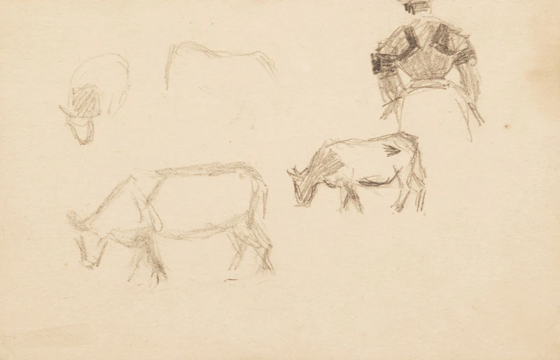 Study of Cows Grazing by James Wilson Morrice