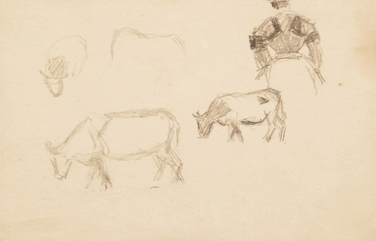James Wilson Morrice, Study of Cows Grazing, graphite, 1905