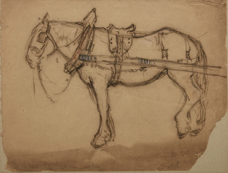 Study of a Horse by Manly Edward MacDonald
