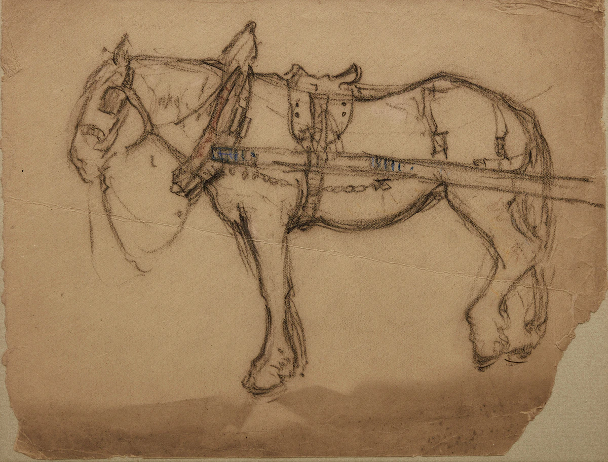 Manly Edward MacDonald, Study of a Horse, crayon on paper