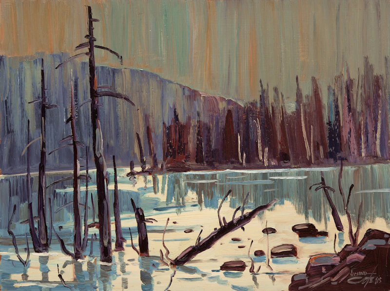 Lac Des Ha-Ha by Bruno Côté