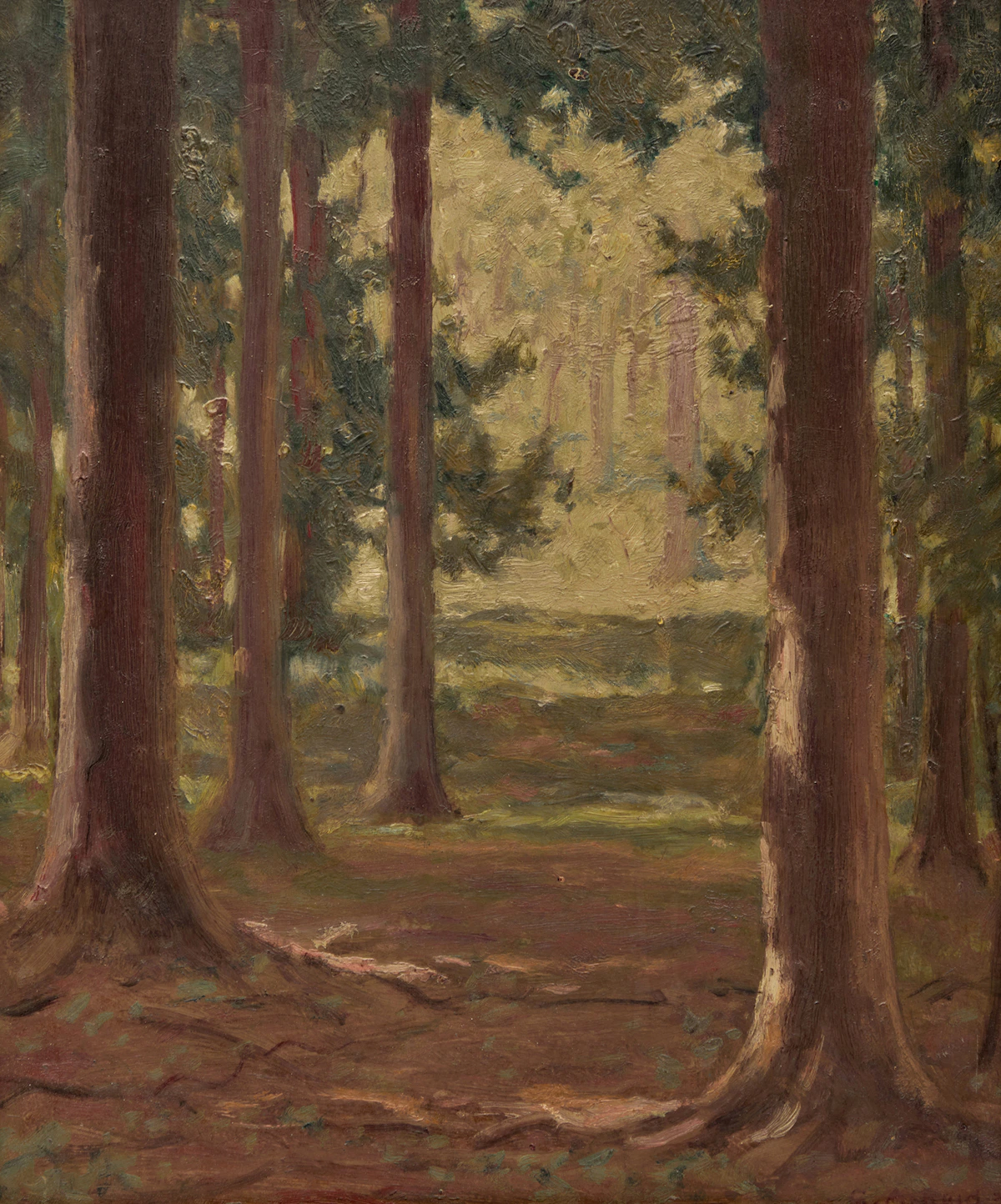 George Agnew Reid, Pale Sunlight, oil on board, 1931
