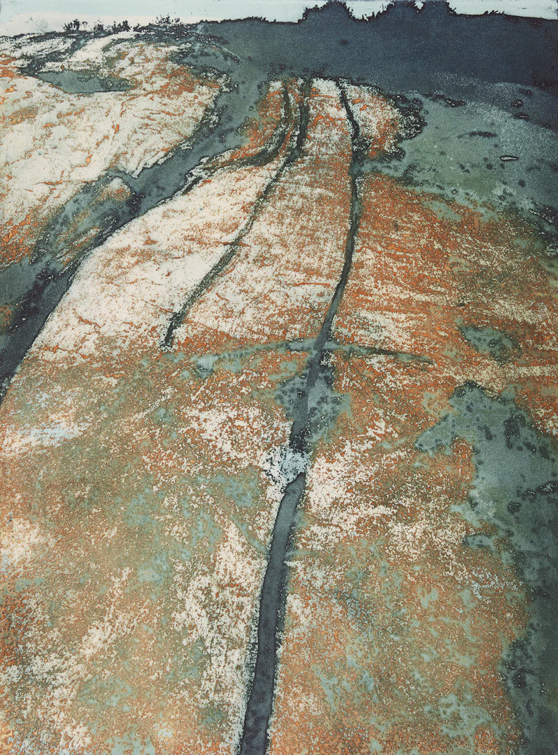 Vertical Striations #2 (Precambrian Shield Series) by Edward John Bartram