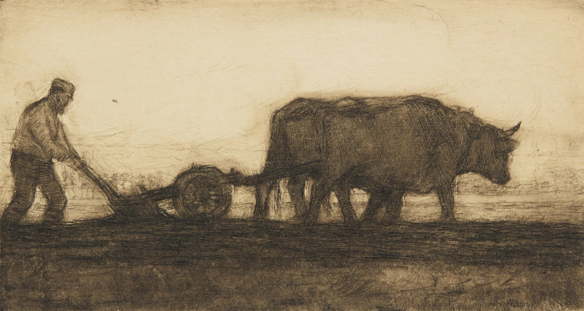 Clarence Alphonse Gagnon, Oxen Plowing, 1902, etching