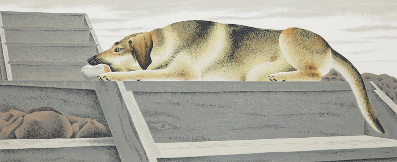 Le Chien d’or (Golden Dog) by David Alexander Colville