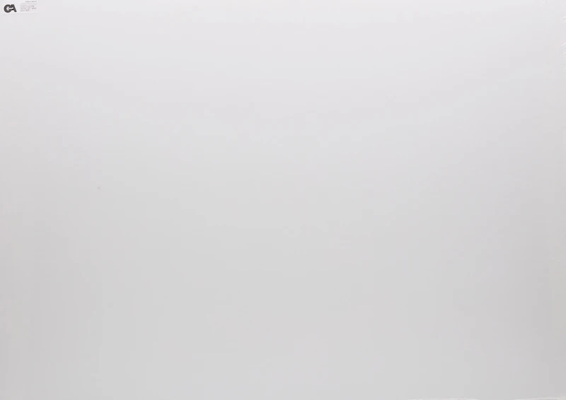 Jack Hamilton Bush, Flood, colour silkscreen, 1970 - view 3