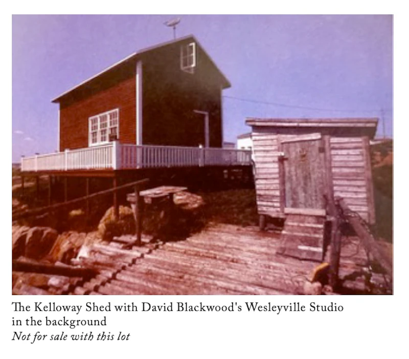 David Lloyd Blackwood, Ephraim Kelloway's Night Door, 1989-1990, oil on canvas - view 4