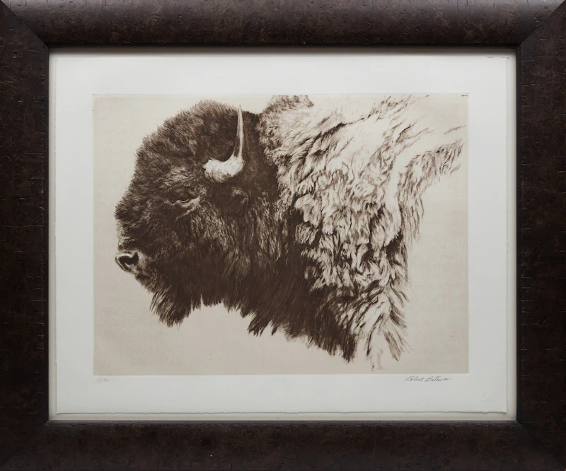 Robert Bateman, Bison, etching - view 2