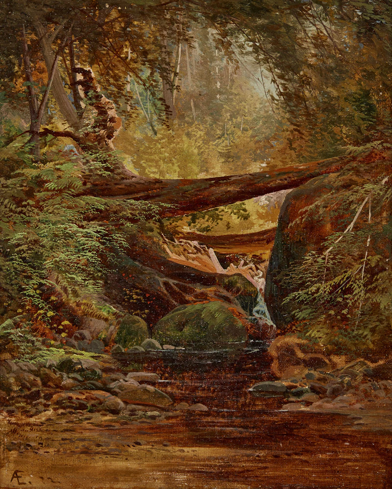 Mountain Stream by Aaron Allan Edson