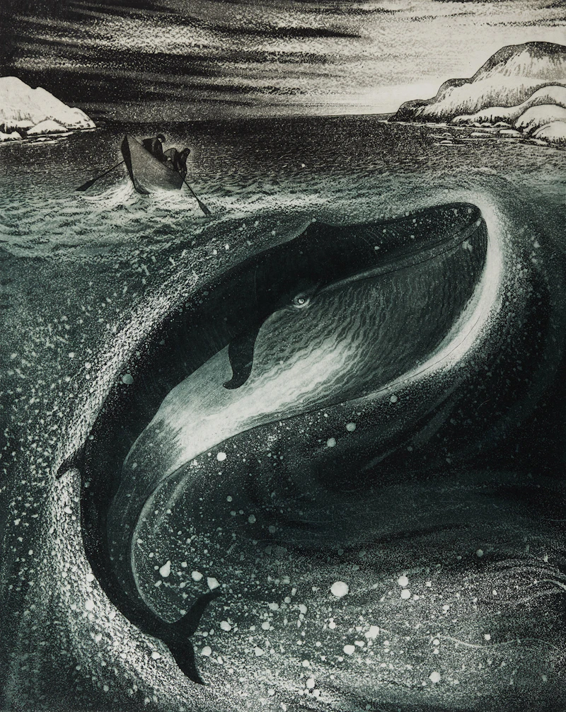 Young Whale in Greenspond Tickle by David Lloyd Blackwood