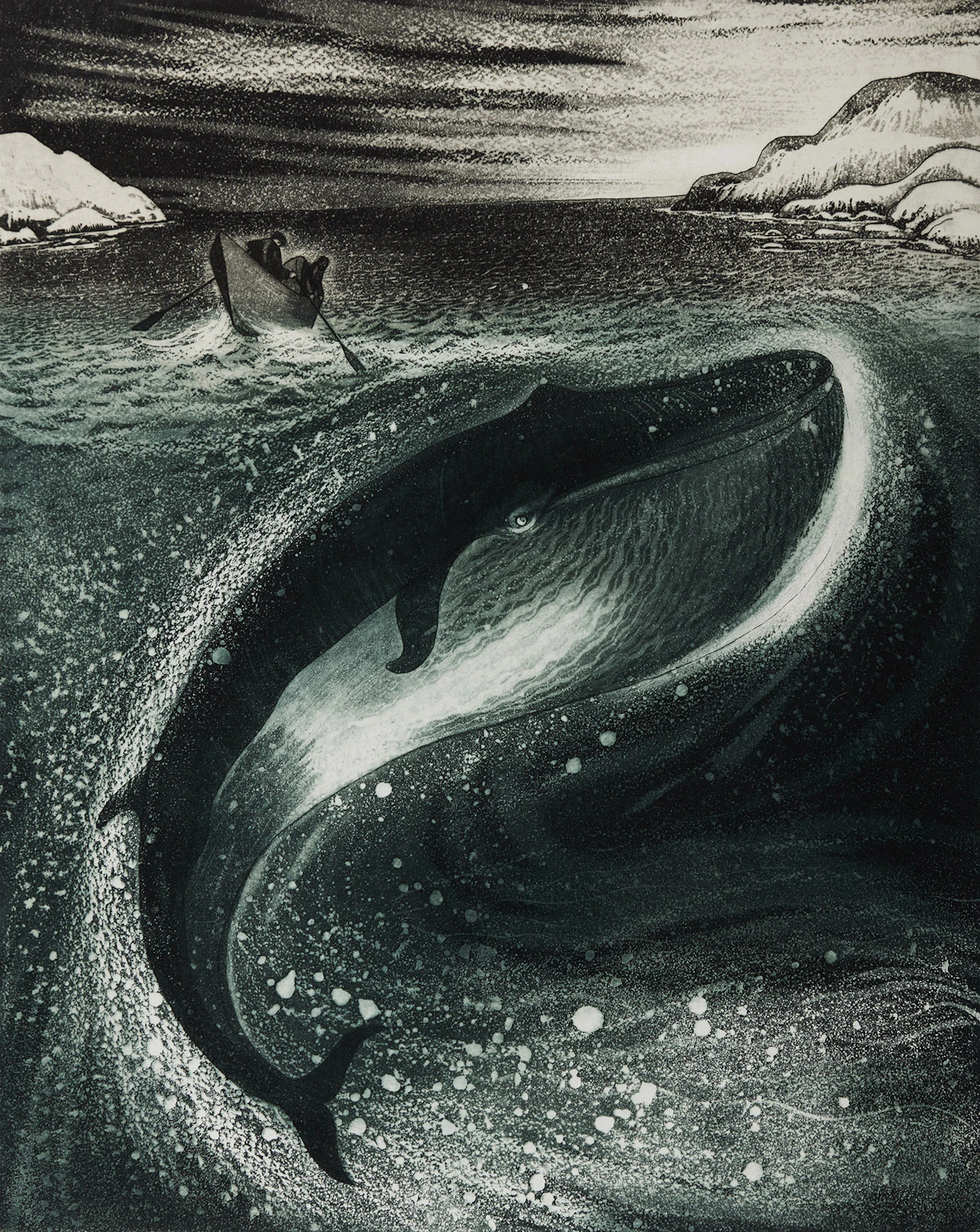 David Lloyd Blackwood, Young Whale in Greenspond Tickle, colour etching and aquatint, 1974