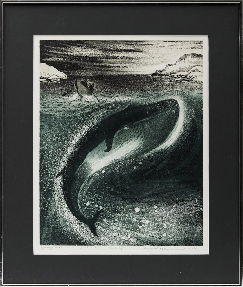 David Lloyd Blackwood, Young Whale in Greenspond Tickle, colour etching and aquatint, 1974 - view 2
