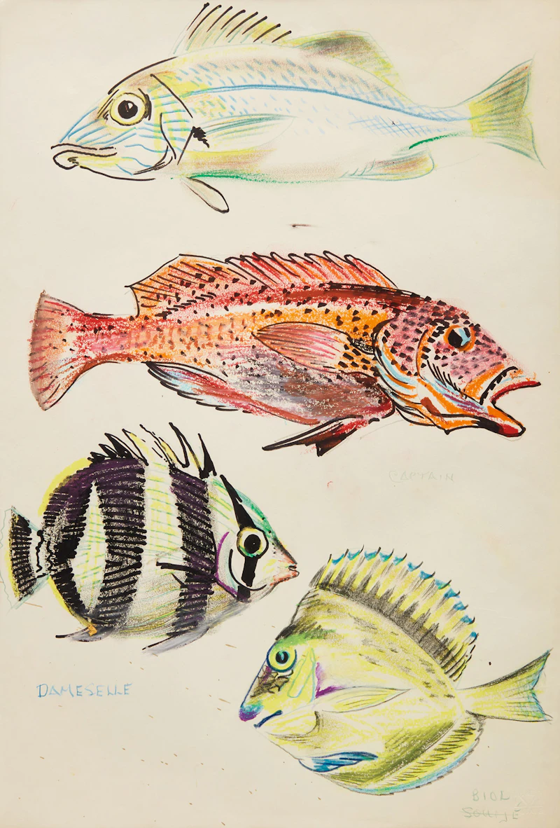 Fish Study by Illingworth Holey Kerr
