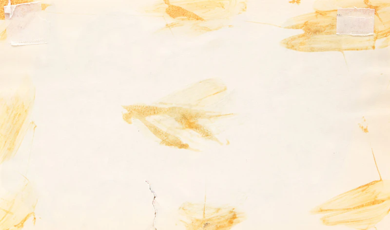 Jean-Paul Jérôme, Untitled Abstract Studies, four watercolours, 1967 - view 4