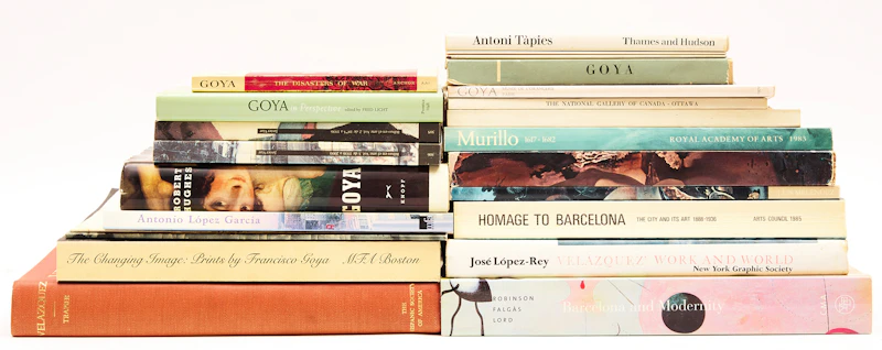 Books and Reference, A Selection of Twenty-Two Spanish Artists Reference Books, 22 books