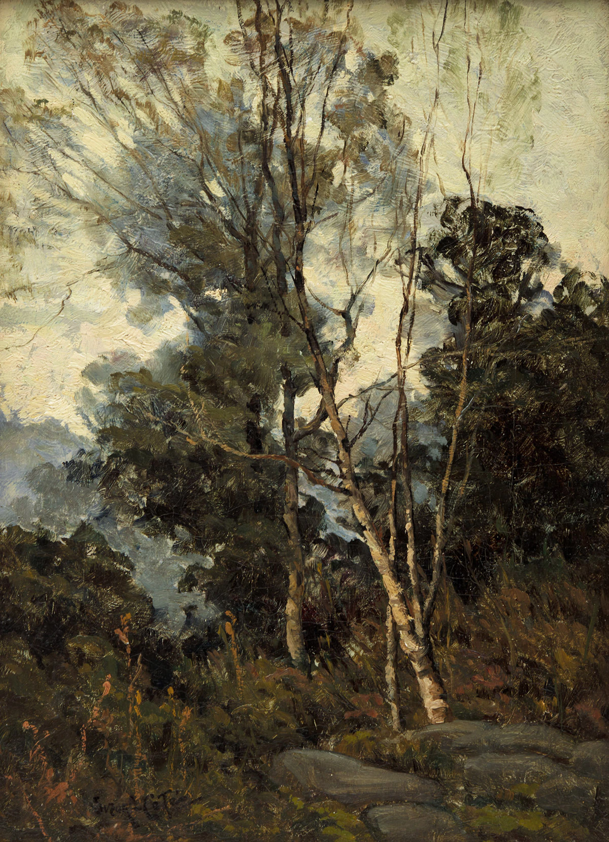 Marc-Aurèle de Foy Suzor-Coté, Birches, oil on canvas