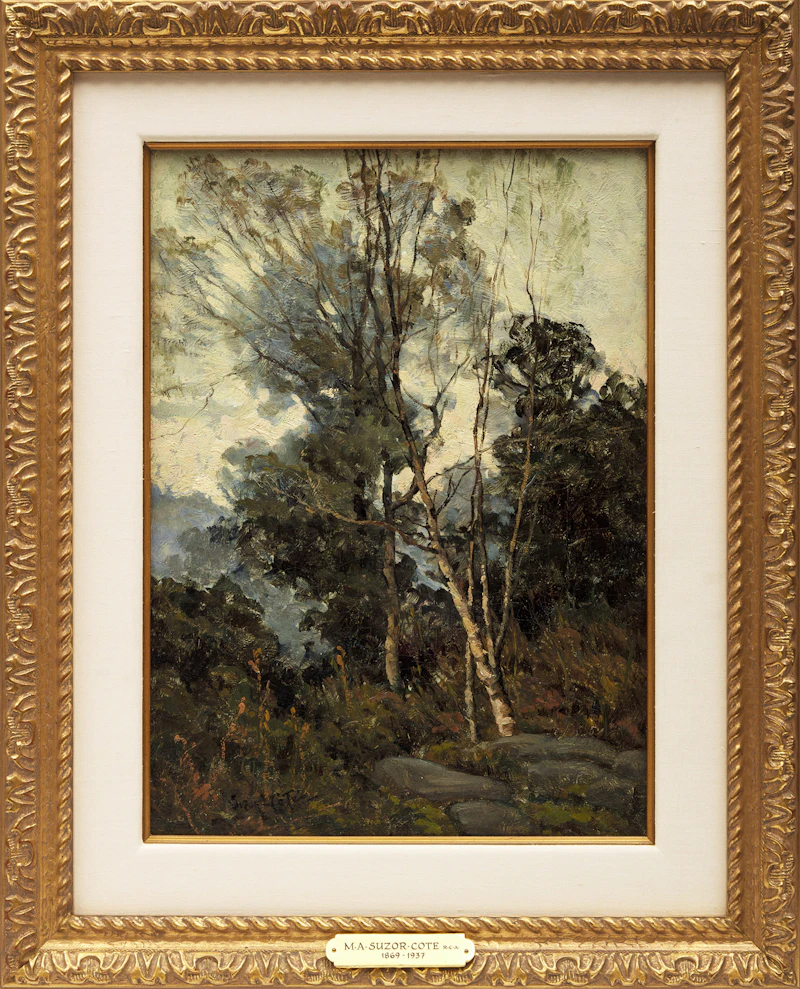 Marc-Aurèle de Foy Suzor-Coté, Birches, oil on canvas - view 2