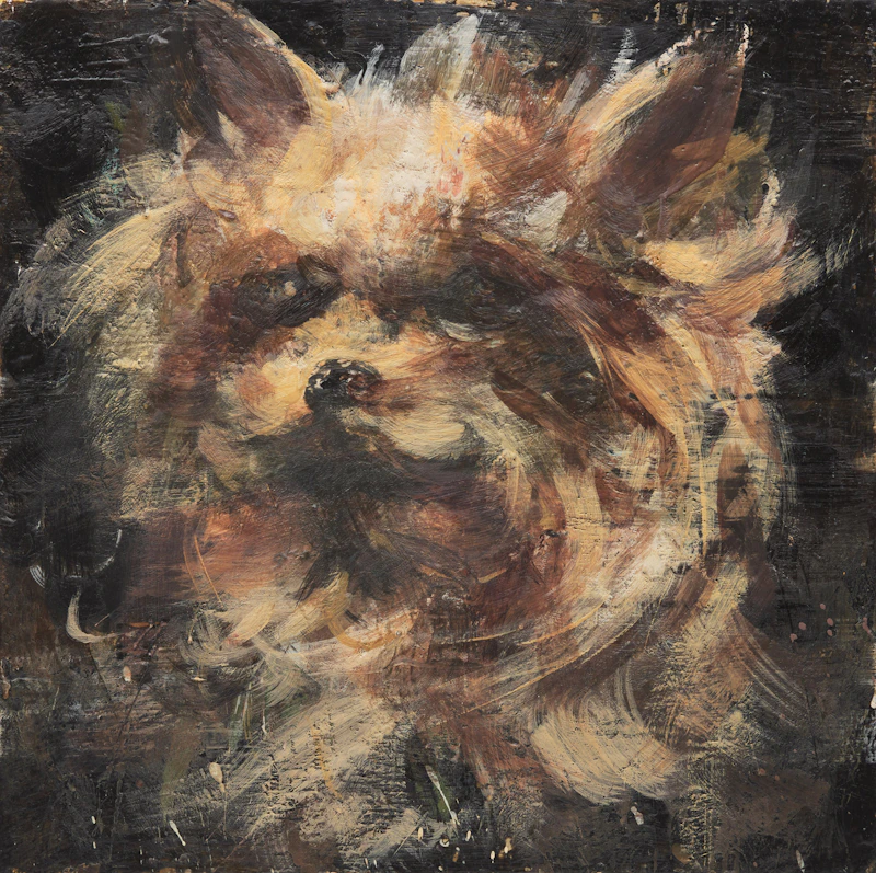 Robspierre's Dog by Tony Scherman