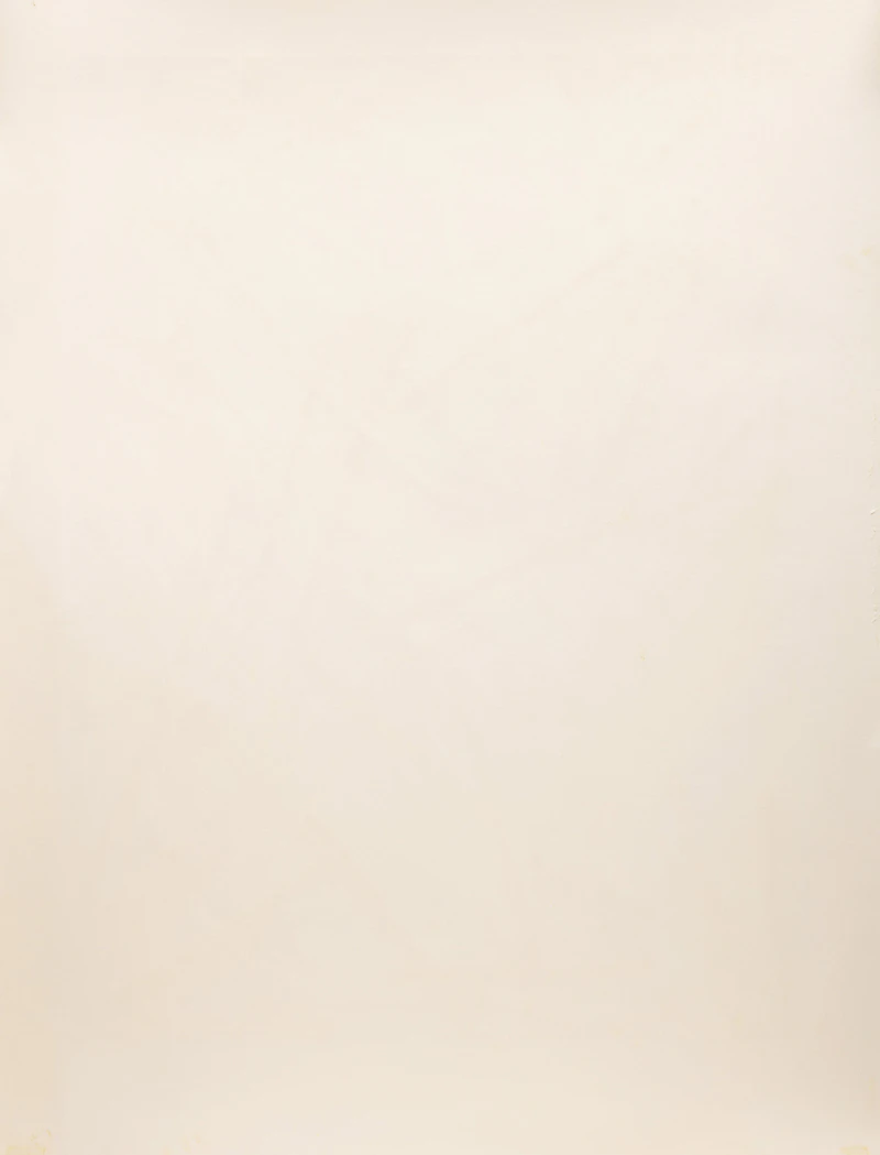 Charles Arnoldi, Untitled #5, coloured woodcut on Arches paper, 1983 - view 3