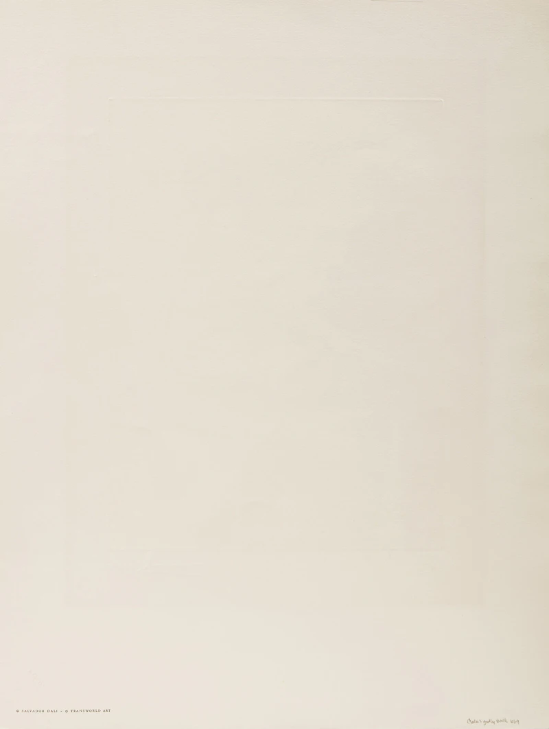 Salvador Dalí, Le dos divin de Gala from After 50 Years of Surrealism (F. 74-8 B), colour etching on Arches paper - view 3