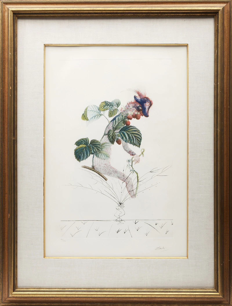 Salvador Dalí, Raspberry Bush (From Flordali, Les Fruits) (F. 69-11 (k)), colour photolithograph with engraving and embossing, 1967 - view 2