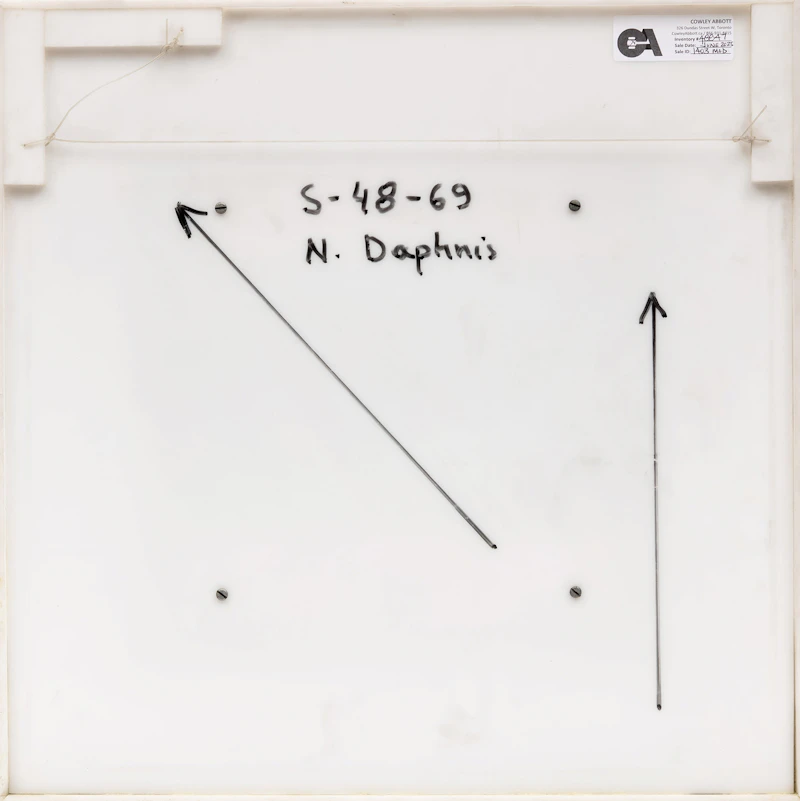 Nassos Daphnis, S-48-69, acrylic on board mounted in a plexi box - view 3