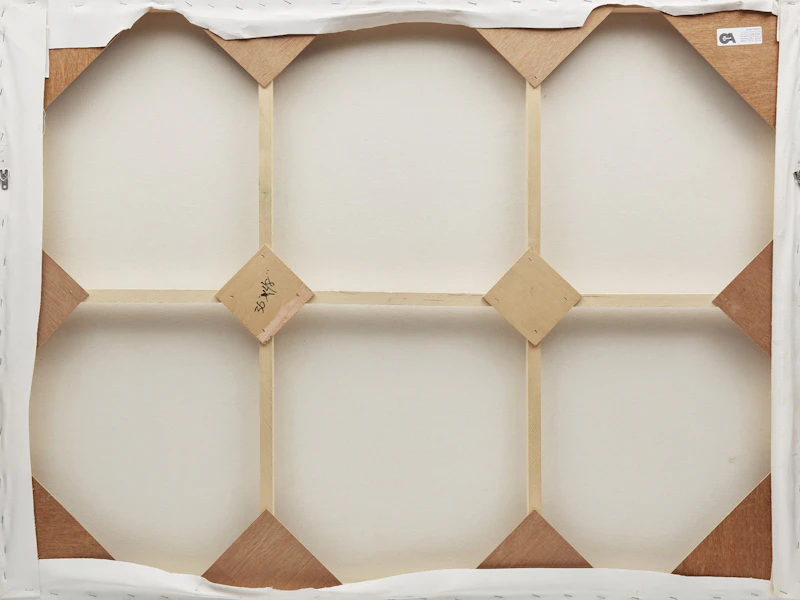 Gary Evans, Soft Mantle, 2005, oil on canvas - view 2