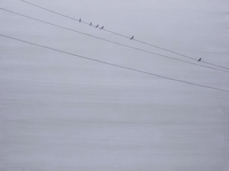 Birds #2 by Nick Ostoff