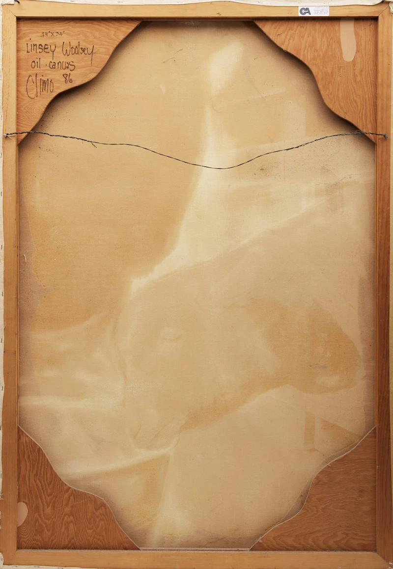 Lindee Climo, Linsey Woolsey, oil on canvas, 1986 - view 3